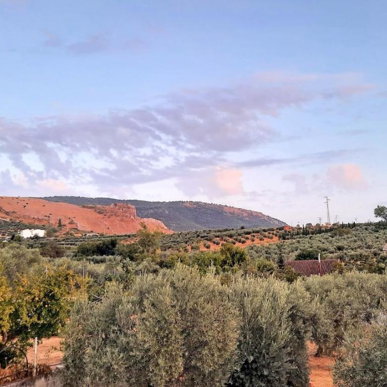 Casa Rural Cortijo Atalaya de Loaimes - Vacation Home - 64