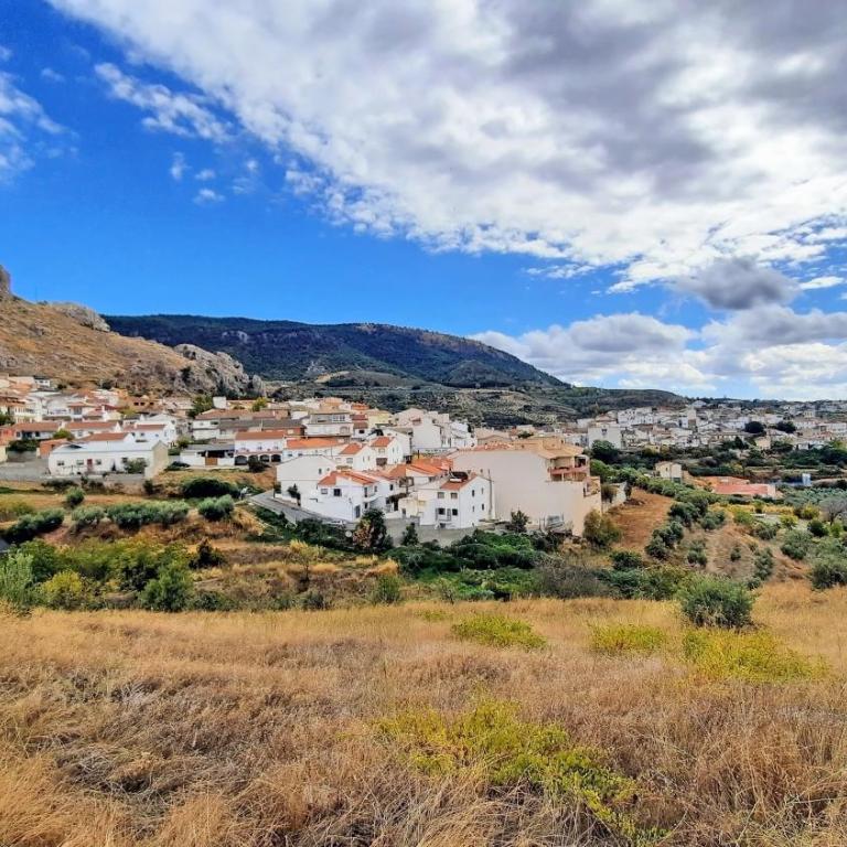 Casa Rural Cortijo Atalaya de Loaimes - Vacation Home - 52