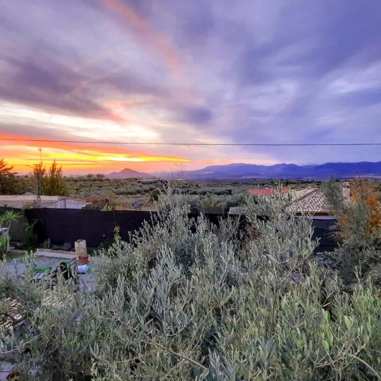 Casa Rural Cortijo Atalaya de Loaimes - Vacation Home - 51