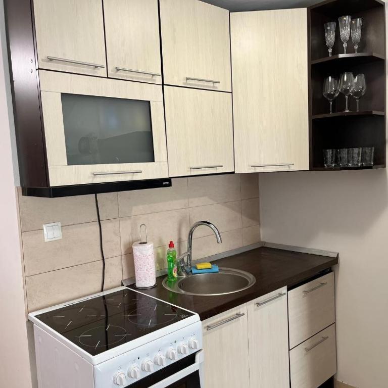 Apartment Red - One-Bedroom Apartment - 1