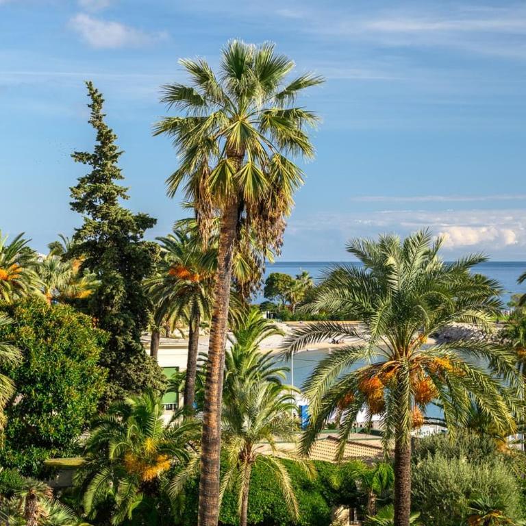 Le Coq Elisée - Parking - AC - Wi-Fi - Downtown - Estudio con vistas al mar - 25