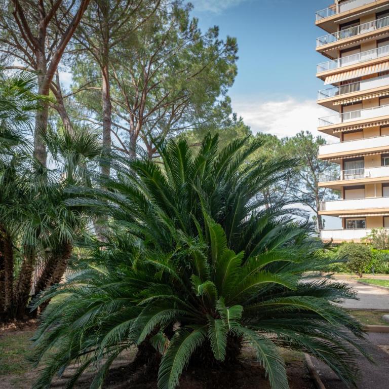 Appartement Cannes - Mandelieu - Le Petit Fairway, entre golf et mer - Apartment - 34