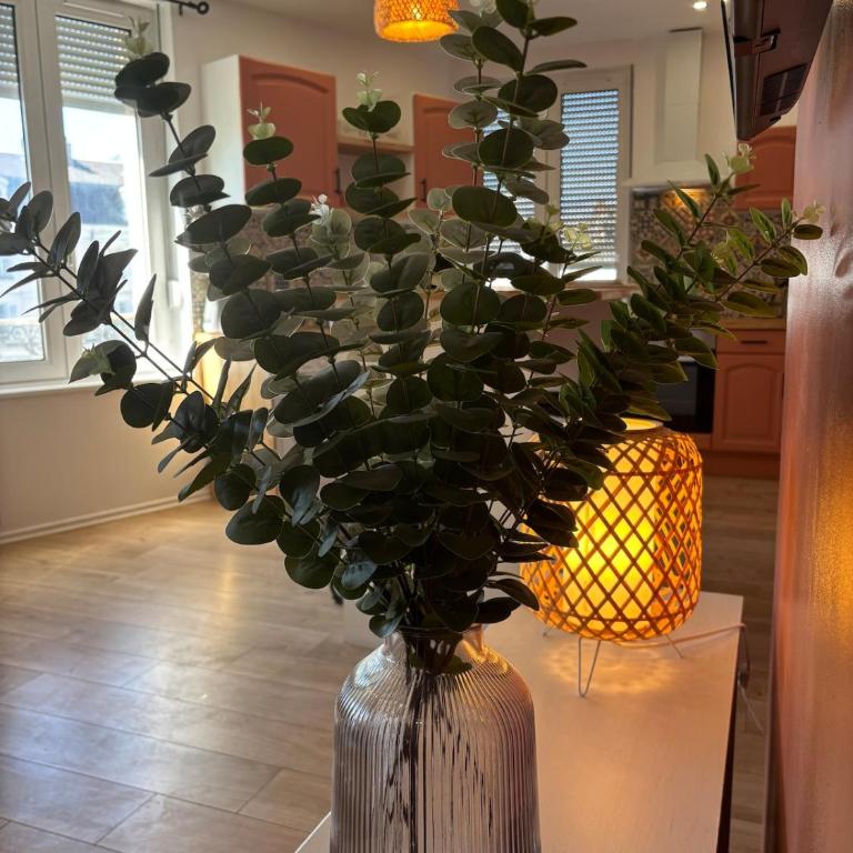 Spacieux spa et sauna - Appartement 1 Chambre avec Baignoire Spa - 13