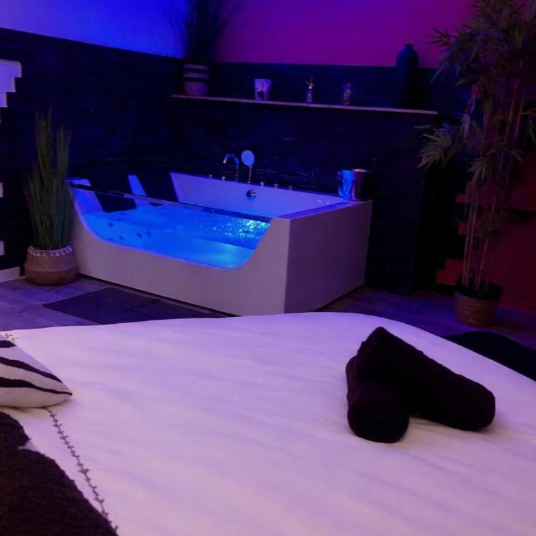 Spacieux spa et sauna - Appartement 1 Chambre avec Baignoire Spa - 26