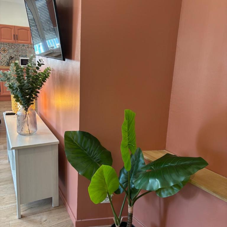 Spacieux spa et sauna - Appartement 1 Chambre avec Baignoire Spa - 45