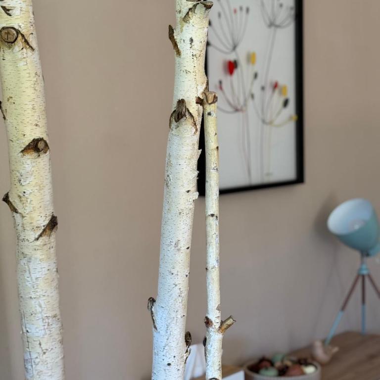 Studio Cosy Calme-Nature - Chambre Double - Vue sur Montagne - 14