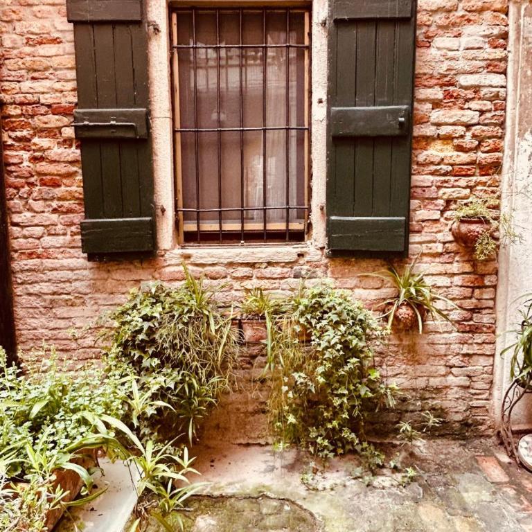 Ca' MoJo - Maison 1 Chambre - 18