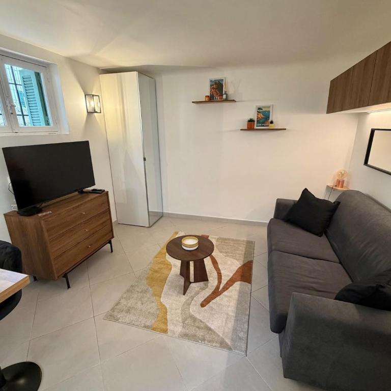 Very charming studio in Nice - Appartement 1 Chambre - 12