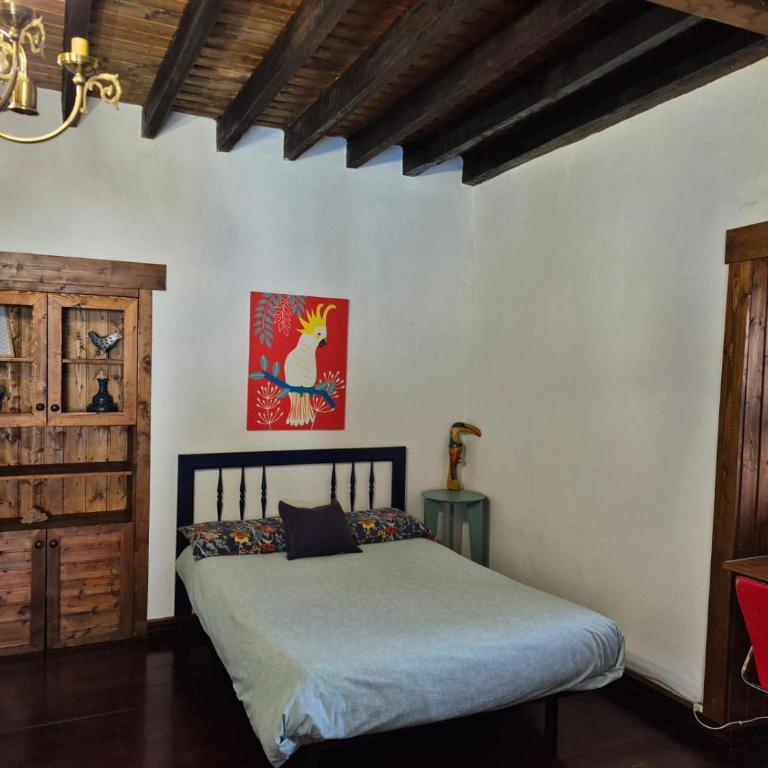 Casita Canaria - Casa con 1 dormitorio - 12