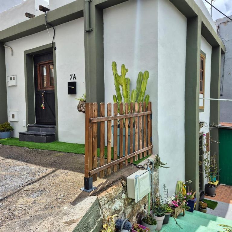 Casita Canaria - Casa con 1 dormitorio - 4