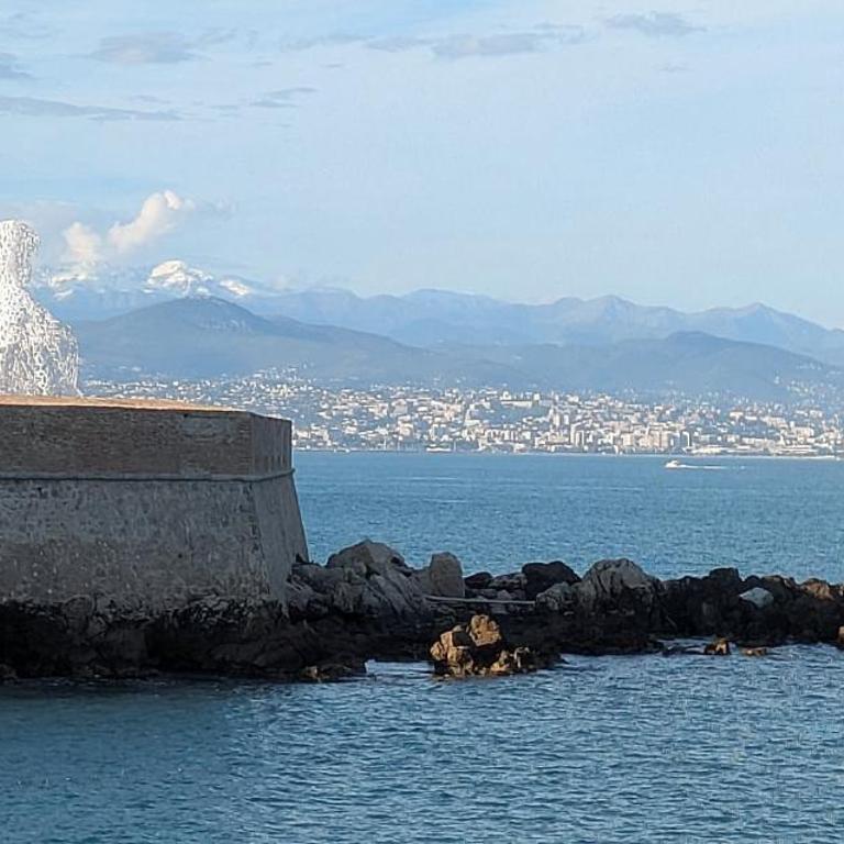La Perle d'Antibes beach and port 300 m away - Appartamento con 1 Camera da Letto - 13