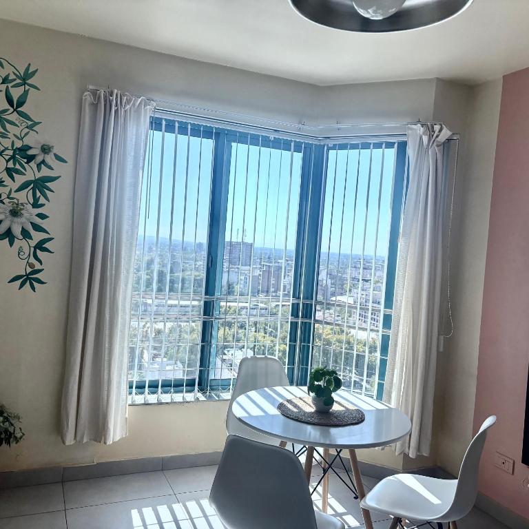 ESPECTACULAR VISTA panorámica en el centro de Mendoza - One-Bedroom Apartment - 6