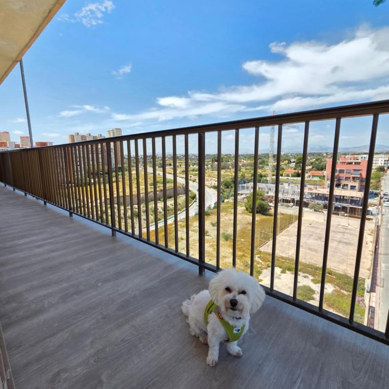Golden Views San Juan Muchavista beach By Xavi Superhost - Apartamento con 3 dormitorios - Frente al océano - 8