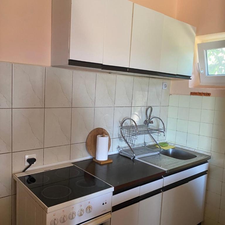 Apartman Draskovic - Apartman sa 1 Spavaćom Sobom - 5