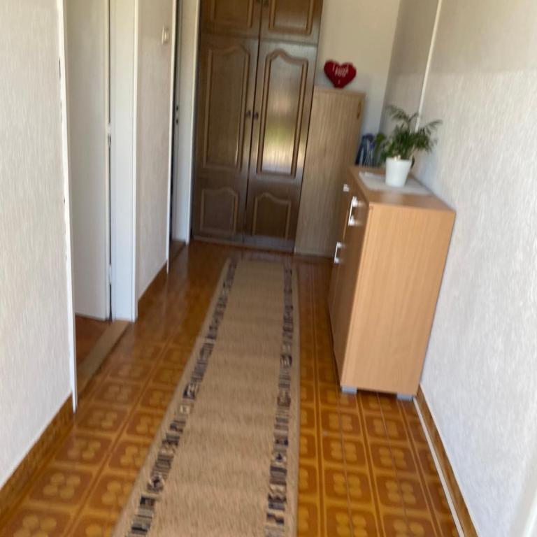 Apartman Draskovic - Apartman sa 1 Spavaćom Sobom - 11