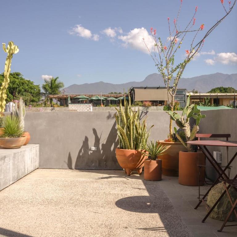 Macondo Arte Oaxaca - Estudio Deluxe - 3