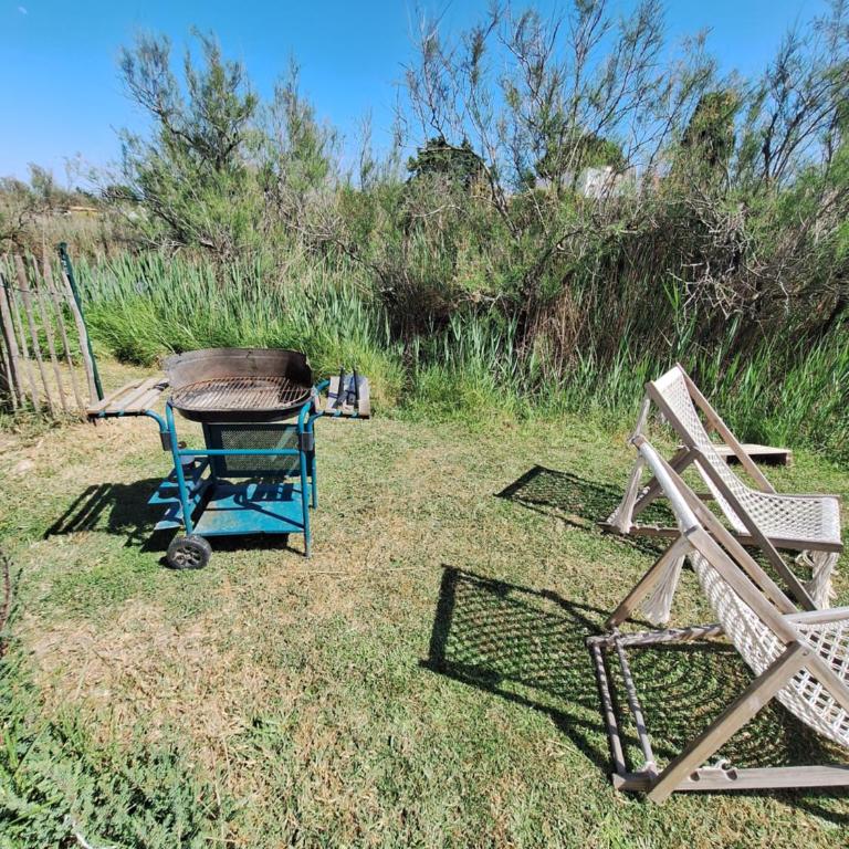 De l'eau et des oiseaux ! - One-Bedroom House - 12