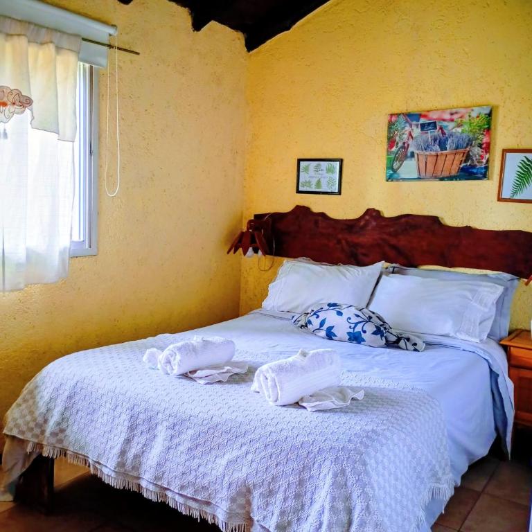 Cabañas Don Fernando - Double Room with Park View - 5