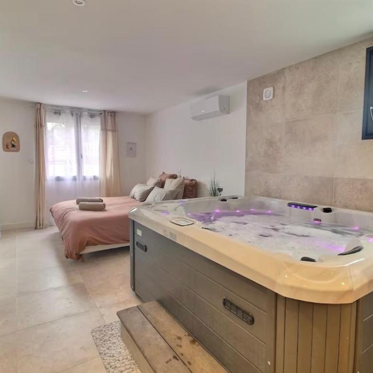 Garden & Spa Camélia jacuzzi - Appartement 1 Chambre avec Terrasse - 2