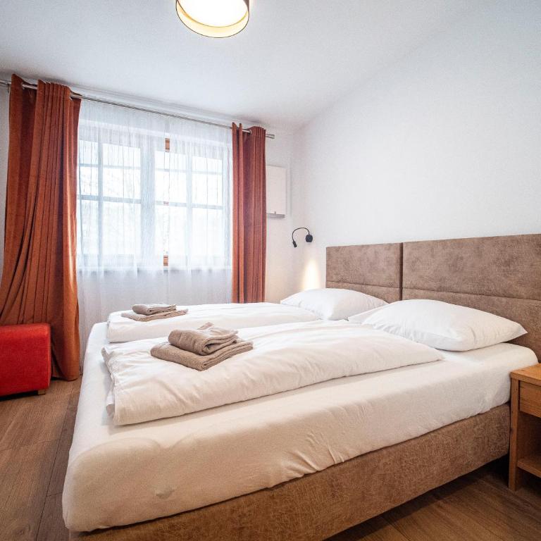 The Peak Premium Apartments Dienten am Hochkönig - Appartamento con 3 Camere da Letto e con Balcone - 3