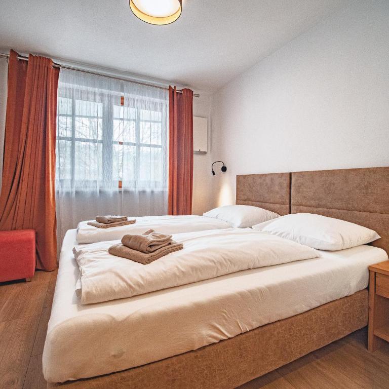 The Peak Premium Apartments Dienten am Hochkönig - Appartamento con 3 Camere da Letto e con Balcone - 11