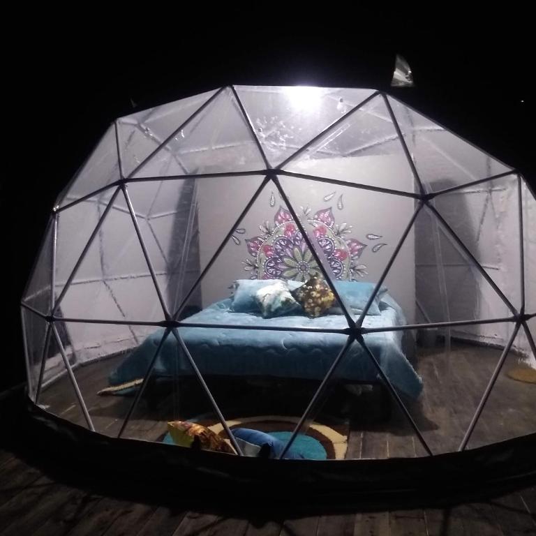 Glamping Store - Habitación con cama extragrande y vistas al lago - 2
