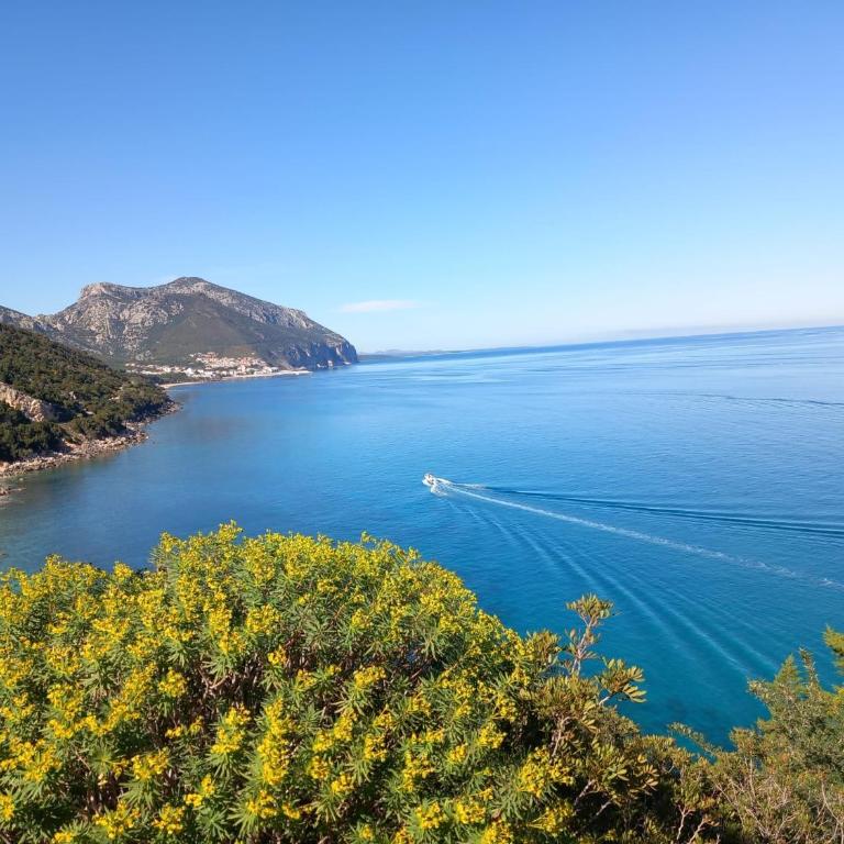 Appartamento vista mare adatto a famiglie a 900m dal mare - Appartamento con 2 Camere da Letto - 13