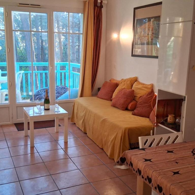 T2 32m2 terrasse 8m2 PISCINE LACANAU OCEAN LAC GOLF MULTISPORT - Appartement 1 Chambre - 16