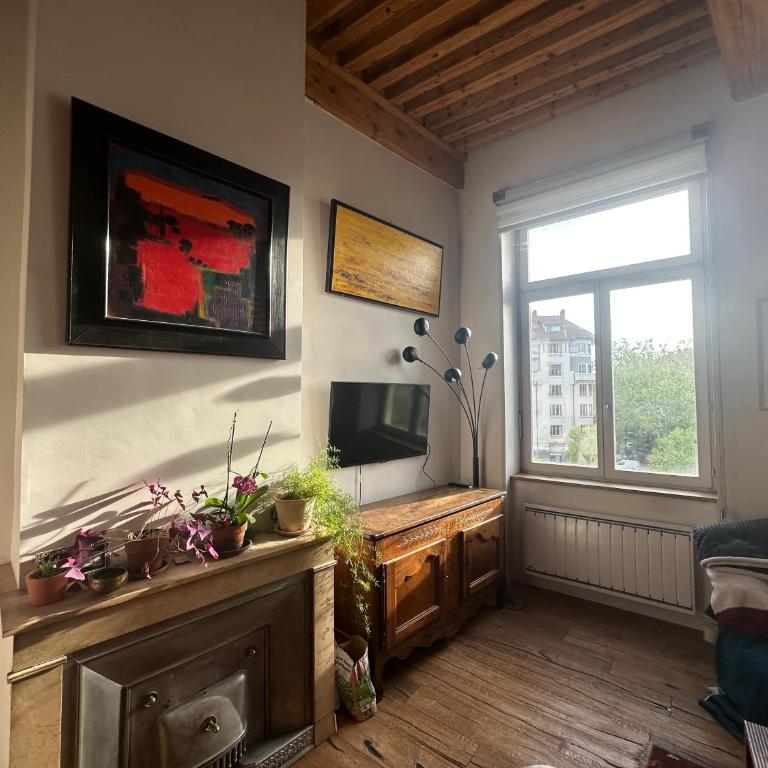 Beautiful Canut apartment, Croix-Rousse - Appartement 2 Chambres - 9