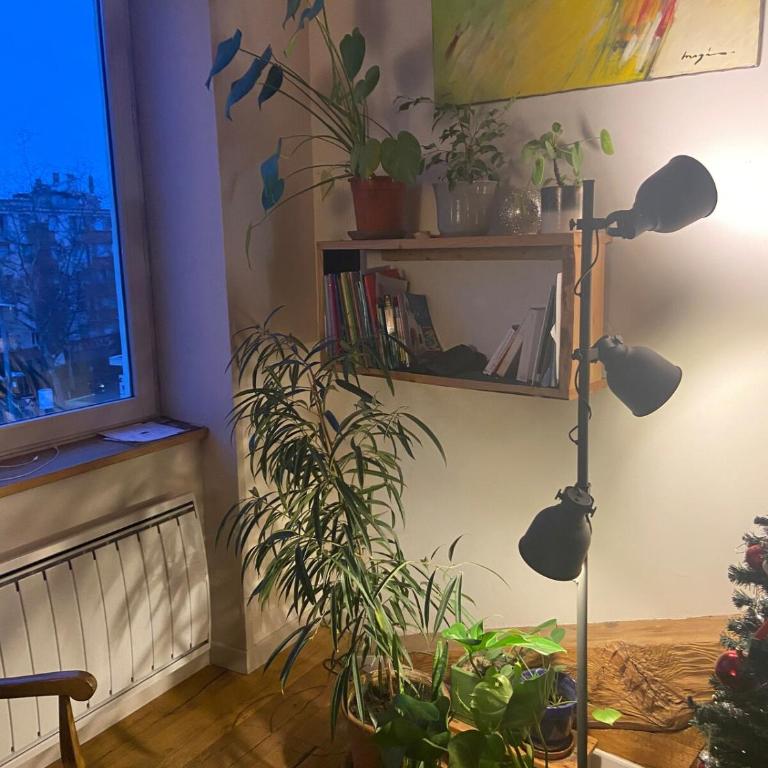 Beautiful Canut apartment, Croix-Rousse - Appartement 2 Chambres - 11