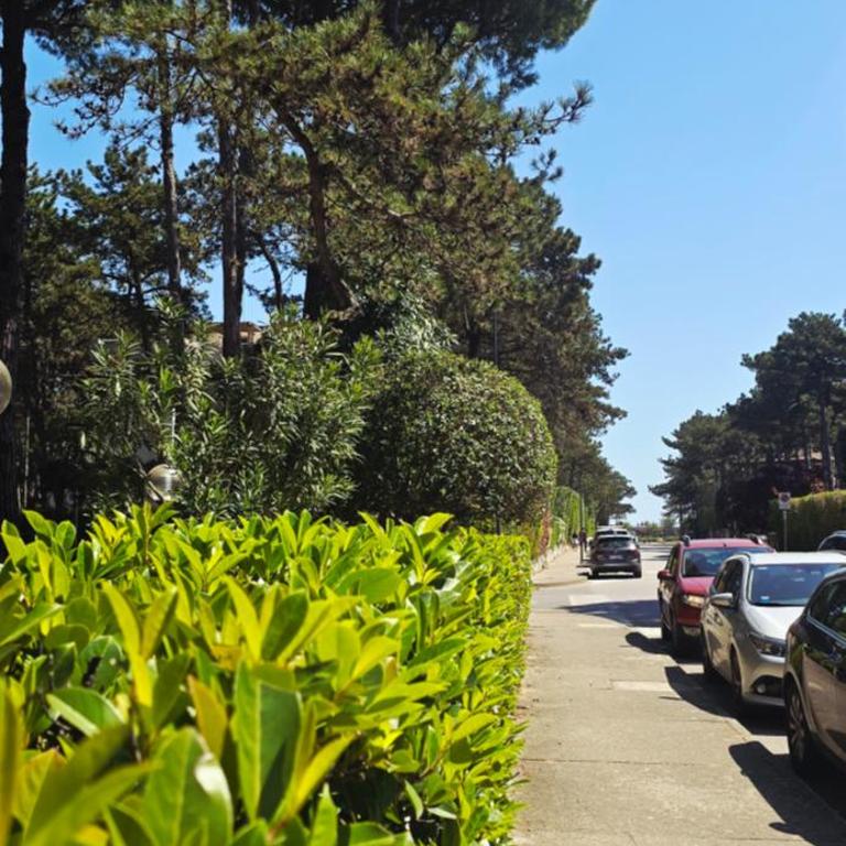 Appartamento Sole Pineta - One-Bedroom Apartment - 2