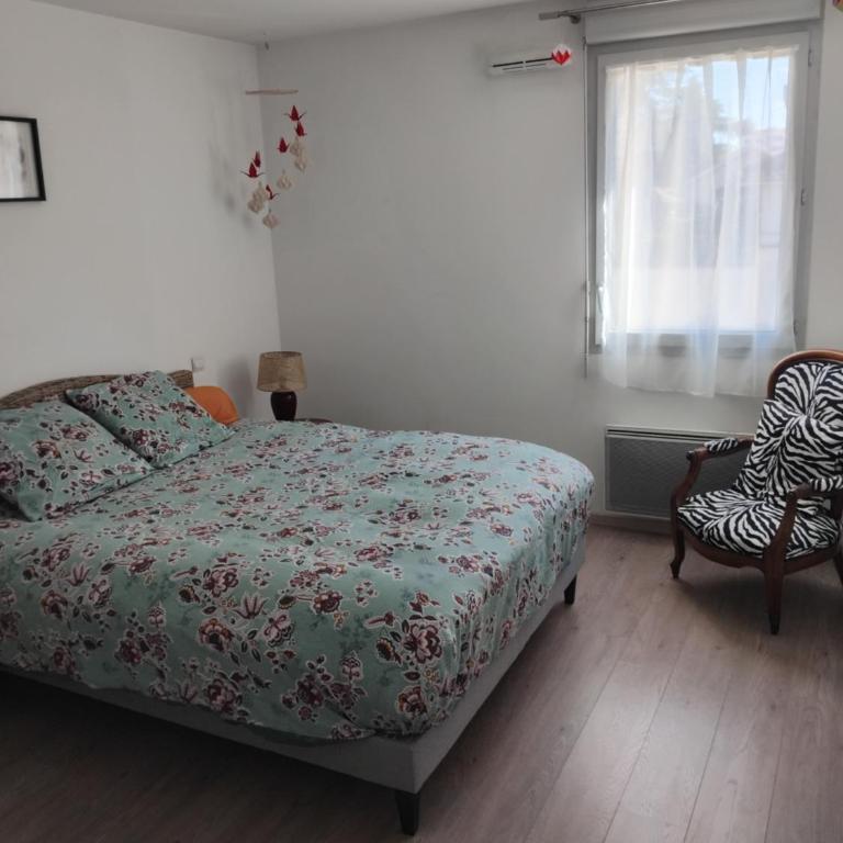 Appartement T3 Saint Cyprien Toulouse - Apartment mit 2 Schlafzimmern - 2