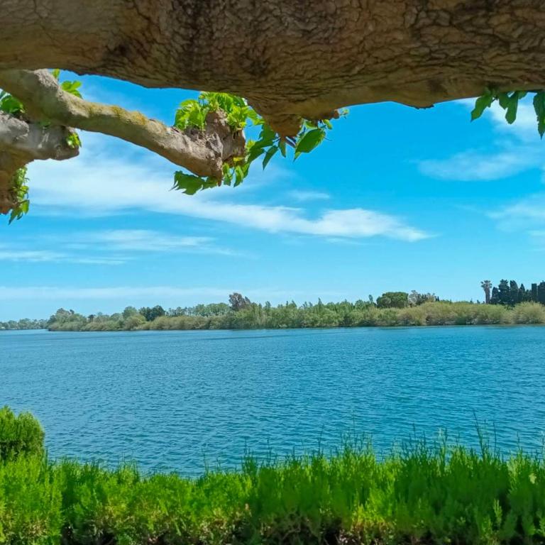 Centro Delta Ebro | Cerca de playas y naturaleza - Two-Bedroom Apartment with Balcony - 31