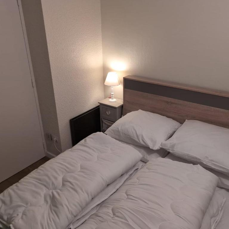 Appartement au cœur du village de St-Lary-Soulan - Appartement 1 Chambre - 7