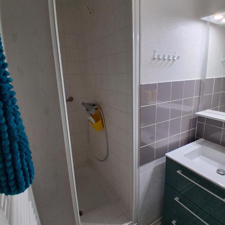 Appartement 50 m de la plage et terrain de tennis - Appartamento con 1 Camera da Letto - 10