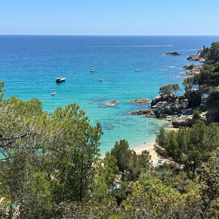 Villa La Gavina Sea View Pool and Beaches - Casa - 5