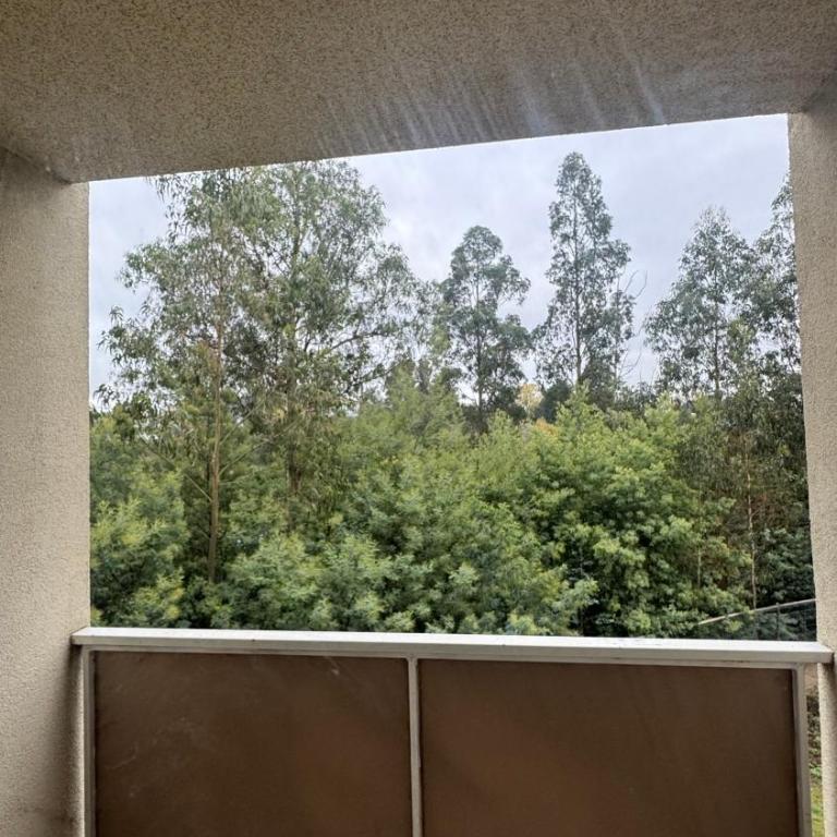 Osorno departamento de 2 a 4 personas - Two-Bedroom Apartment - 3