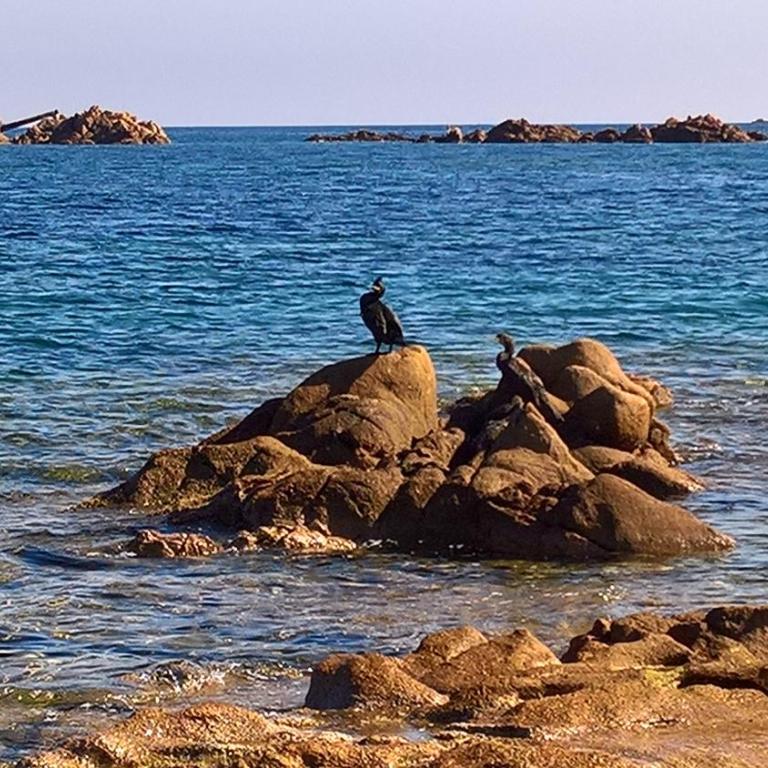 Da Graziella e Carlo - mare cristallino - Vicino a molte bellissime spiagge - Appartamento con 1 Camera da Letto - 38