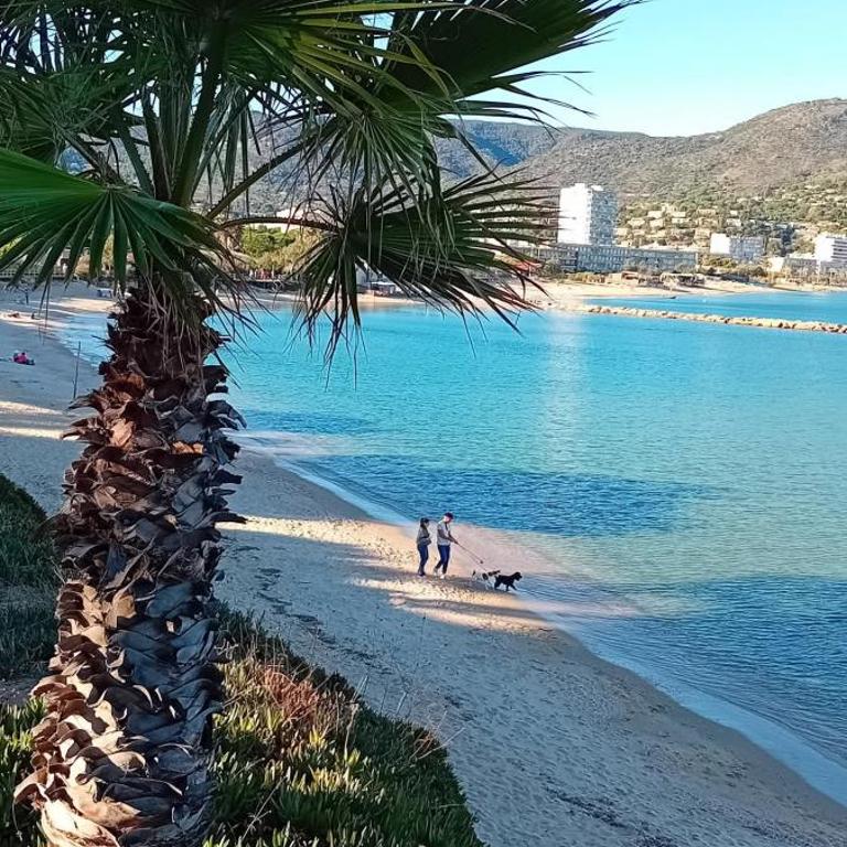 La siesta Le Lavandou 83 - One-Bedroom Apartment - 8