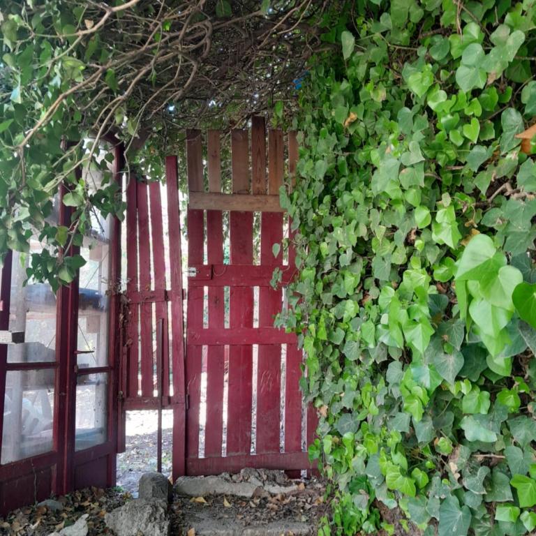 Joli studio avec jardin proche de la gare - Apartment mit 1 Schlafzimmer - 2