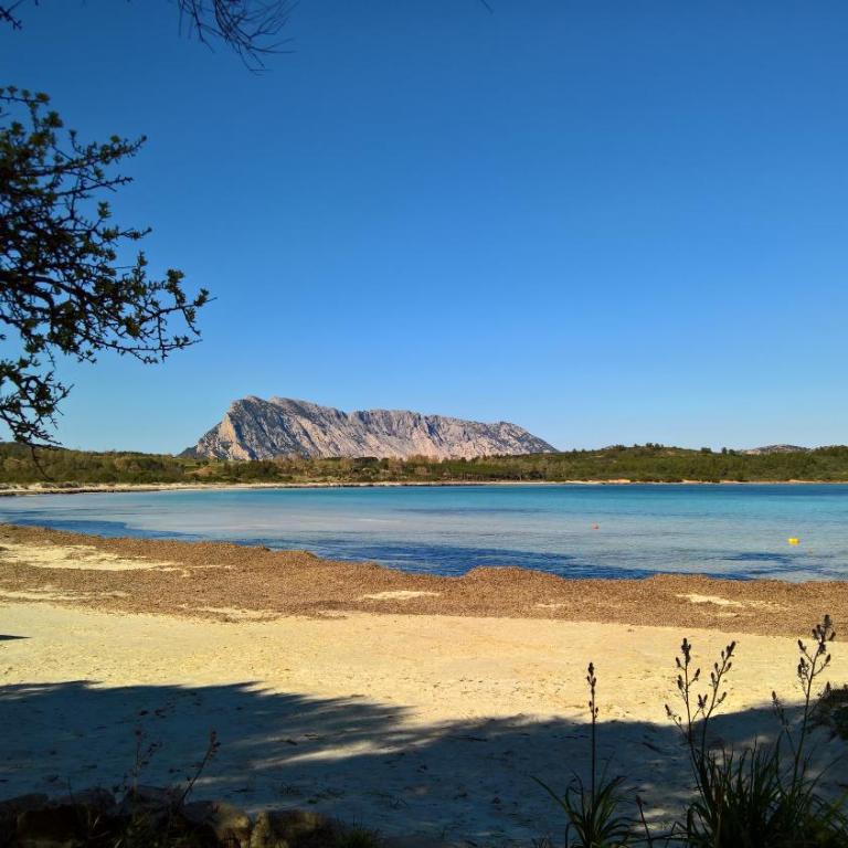 Da Graziella e Carlo - mare cristallino - Vicino a molte bellissime spiagge - Appartamento con 2 Camere da Letto - 47