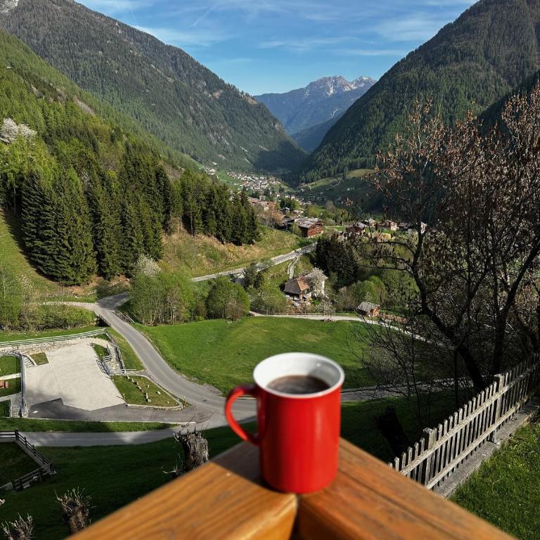 Appartamento la Viola - Apartment mit 3 Schlafzimmern - 28