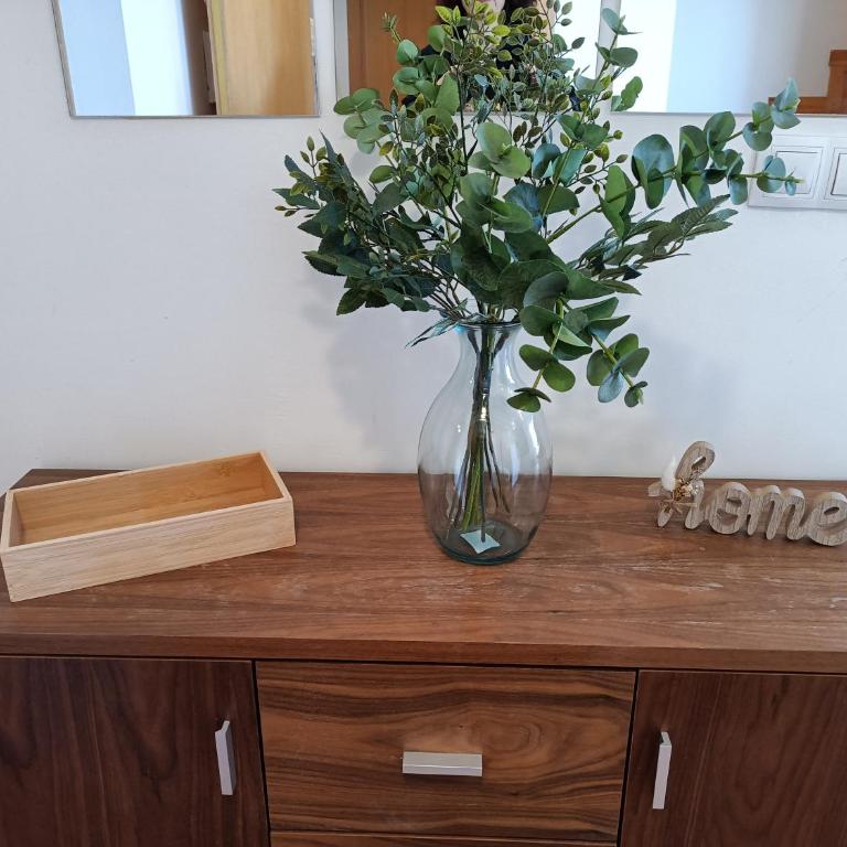 Canet estival - Apartamento de 2 dormitorios - 3