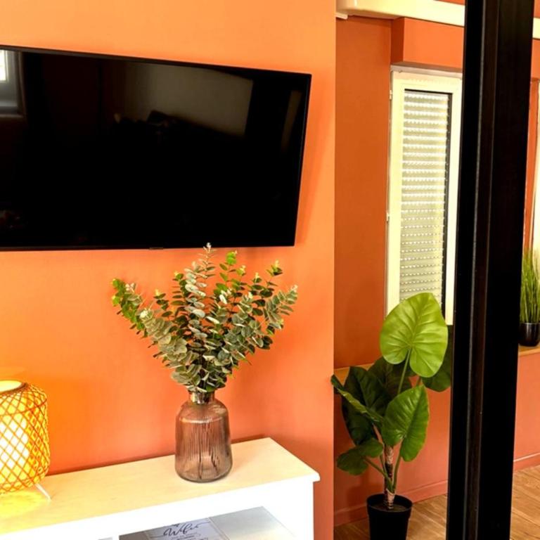 Spacieux spa et sauna - Appartement 1 Chambre avec Baignoire Spa - 50