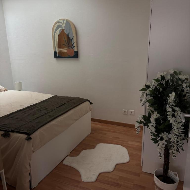 Appartement Quartier Republique 4 personnes - Appartement 2 Chambres - 7
