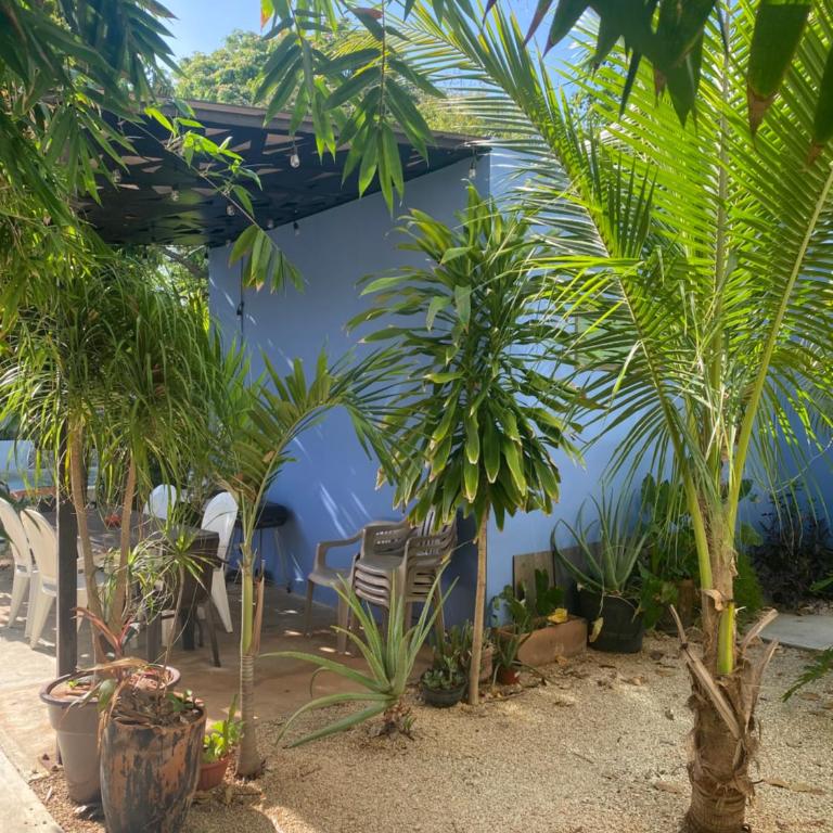 Departamento cocoonning en "Casa Livia" piscina y jardín - One-Bedroom Apartment - 33