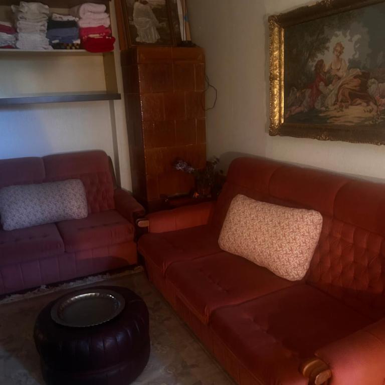 Elis’ Bgd room - Velika Jednokrevetna Soba - 3
