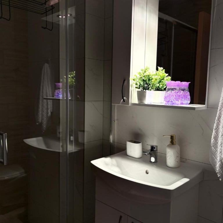 Jefimija Apartman Sokobanja - One-Bedroom Apartment - 18