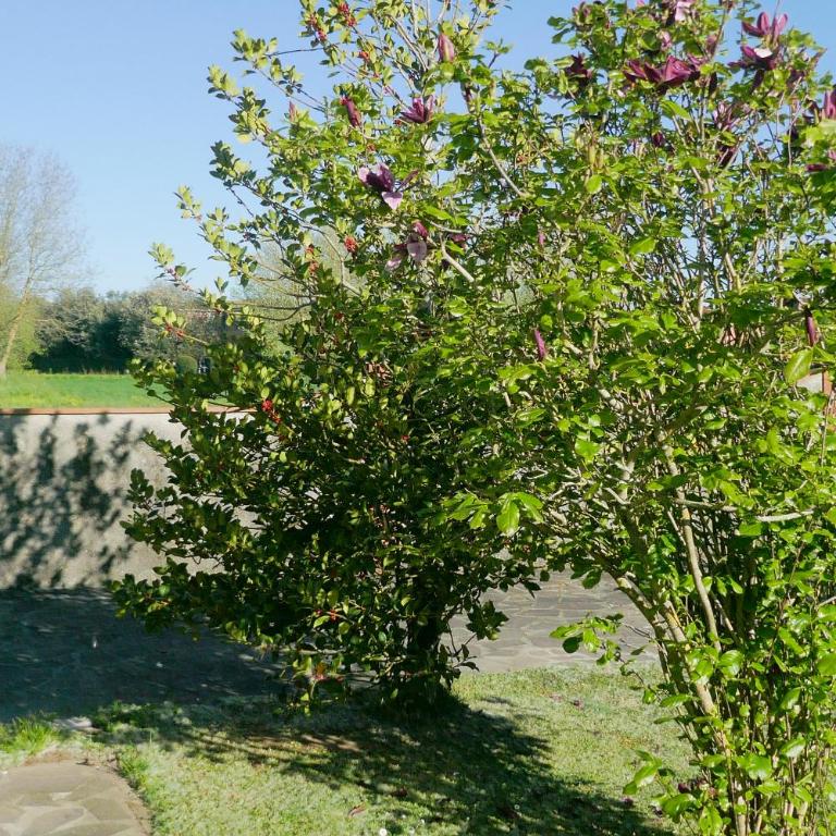 Villa Iliana - Villa con 3 Camere da Letto - 44