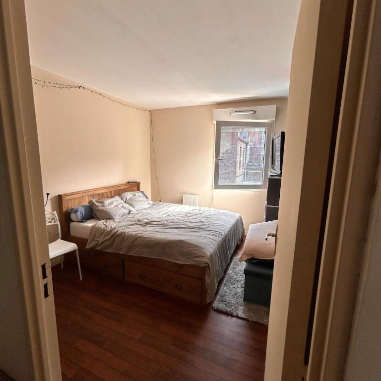 Appartement 2 pièces dans le centre ville du havre - Apartment mit 1 Schlafzimmer - 4